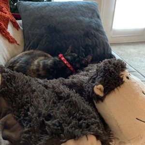 Meet your Posher, Emily